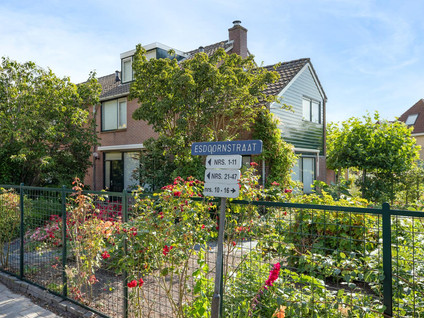 Esdoornstraat 19