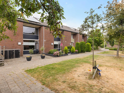 Witte de Withlaan 8