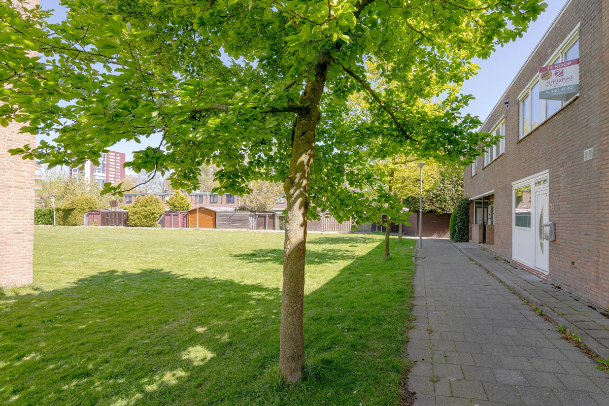 Tussenwoning te koop: Ellewoutsdijkstraat 214, Rotterdam