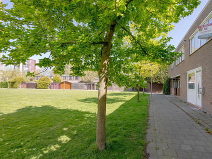 Ellewoutsdijkstraat 214