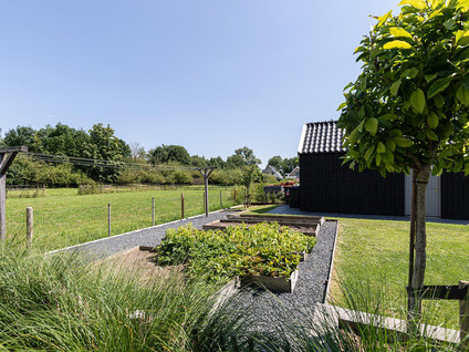 Liesveld 13a