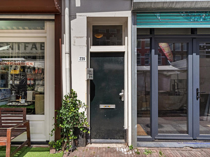 Albert Cuypstraat 239 1A