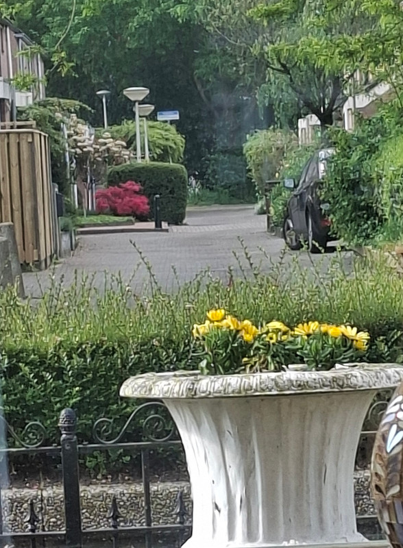 Tussenwoning te koop: Kruidhof 14, Bergen Op Zoom