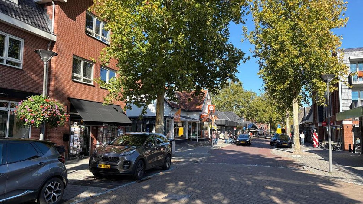 Appartement te huur: Stationslaan 13C, Nunspeet