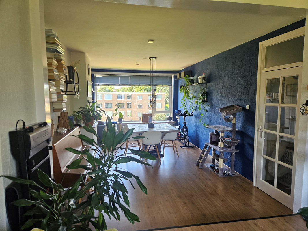 Appartement te koop: Berberisstraat 11, Hoogeveen