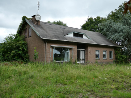 Koekoek 4