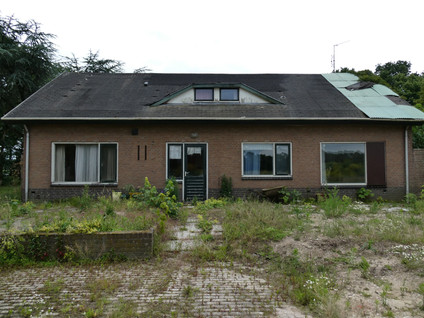 Koekoek 4