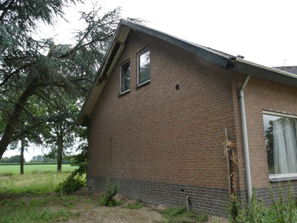 Koekoek 4
