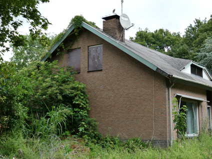 Koekoek 4