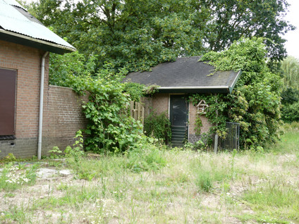 Koekoek 4