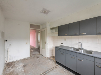 Reinwardtstraat 228