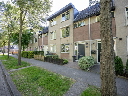 apartments for rent on Springendallaan 115