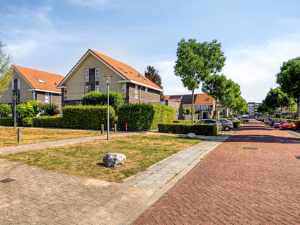 Warmelo 12