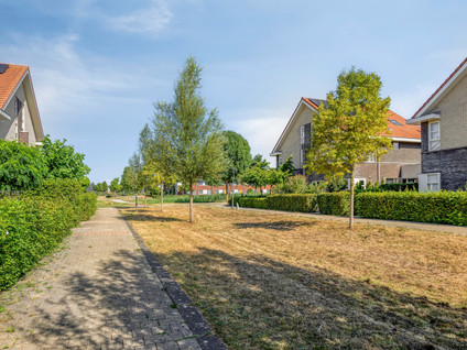 Warmelo 12