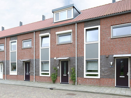 Wilhelminastraat 3D