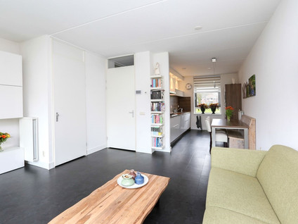 Wilhelminastraat 3D