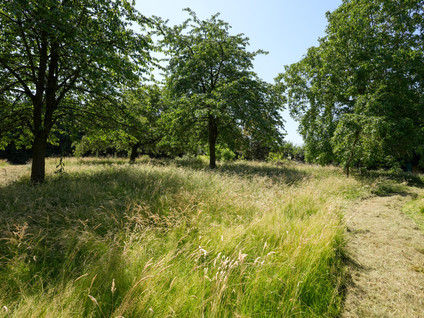 Penderskoolhofweg 4