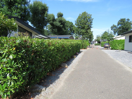 Hommelweg 2R 481