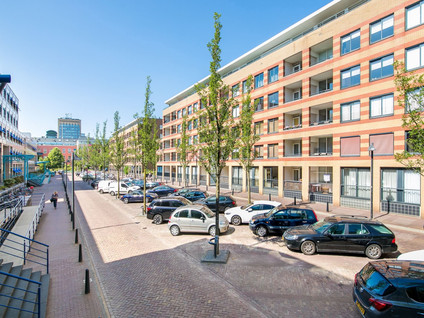 Arthur van Schendelstraat 563
