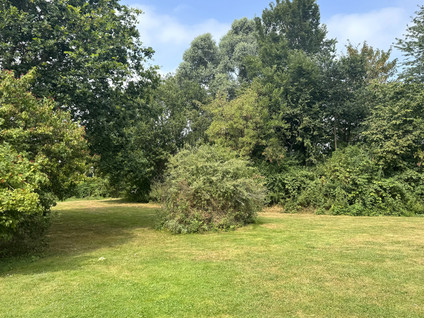 Leuvenumse Beek 9