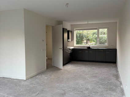 Dorp 135B