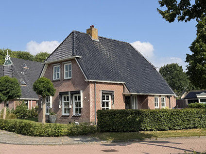 Pijlkruid 3