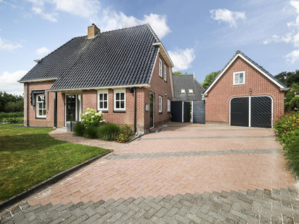 Pijlkruid 3