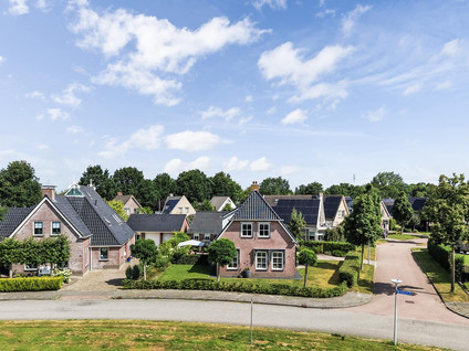 Pijlkruid 3