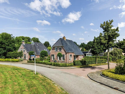 Pijlkruid 3