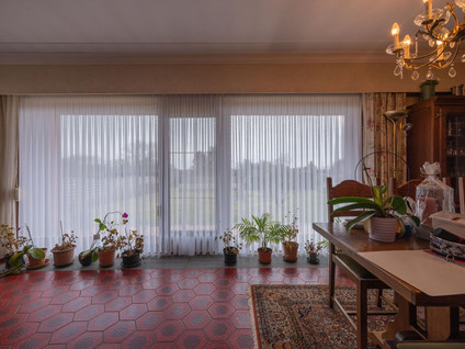 Dornernieuwstraat 50 3680 Maaseik 