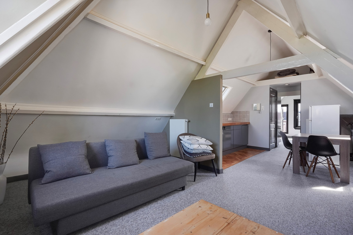 Appartement te koop: Laan Van Meerdervoort 330A, 'S-Gravenhage