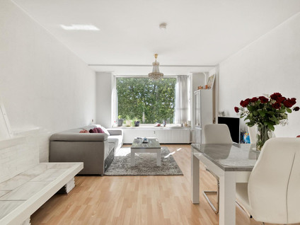 Langenhorst 359
