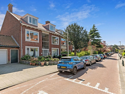 Goudreinetstraat 414