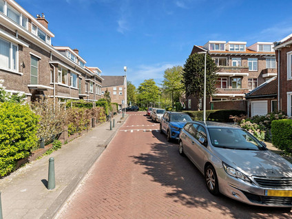 Goudreinetstraat 414