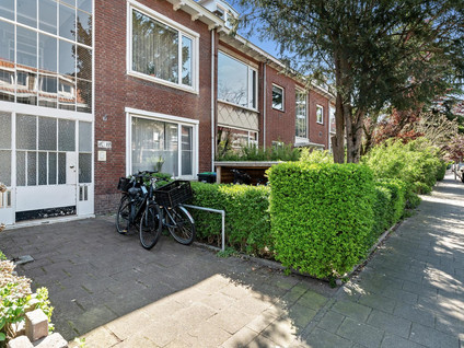 Goudreinetstraat 414