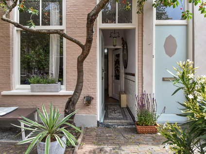 Zeilstraat 113