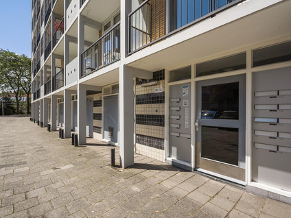 Louis Davidsstraat 719