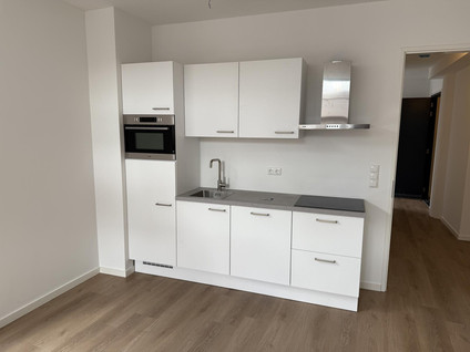 Harpstraat 12