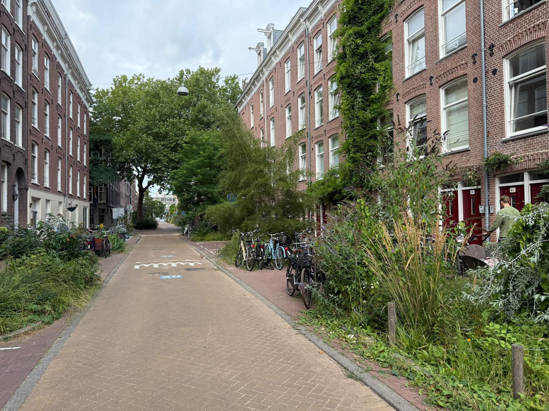 Appartement te huur: Quellijnstraat 37A, Amsterdam