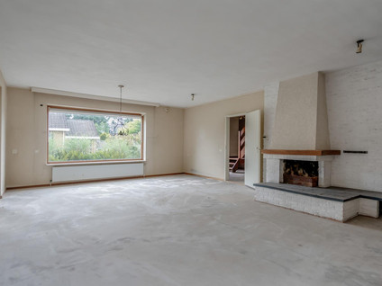 de Rippert 46