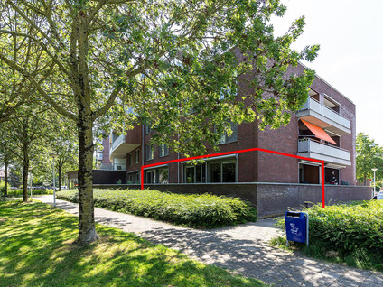 Groen v Prinstererstraat 131