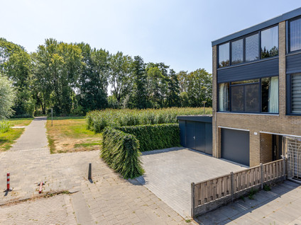 Passiebloem 43