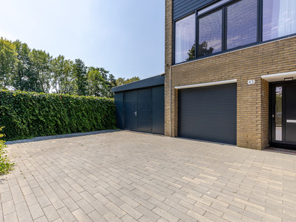 Passiebloem 43