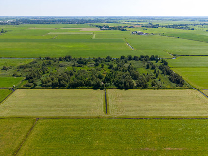 Niekerkerdiep 