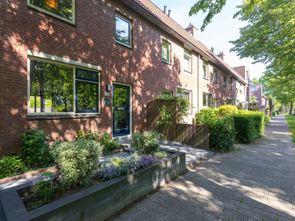 Patio 118