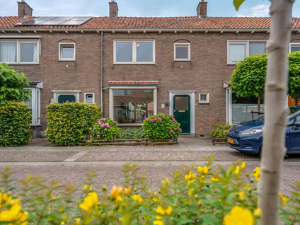 Lohmanstraat 4