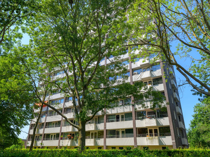 Roggekamp 369