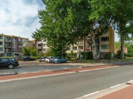 Nijlânsdyk 213