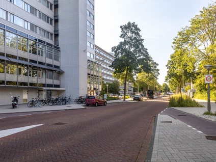 Van Leijenberghlaan 181