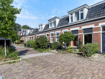 Steijnstraat 13